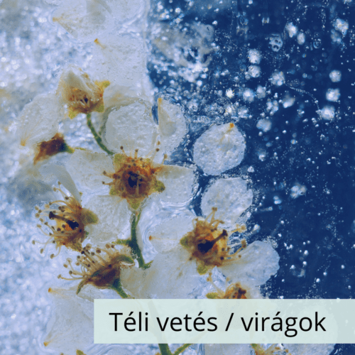 Téli vetés